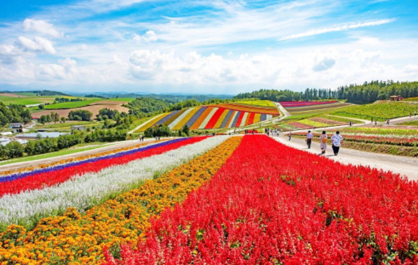 Japan trip packages  Japan holidays