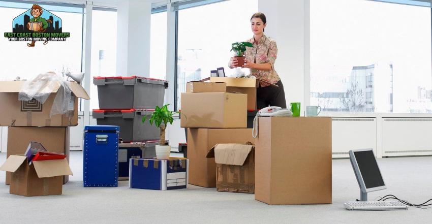 Tips For Choosing The Best Brookline Movers Boston