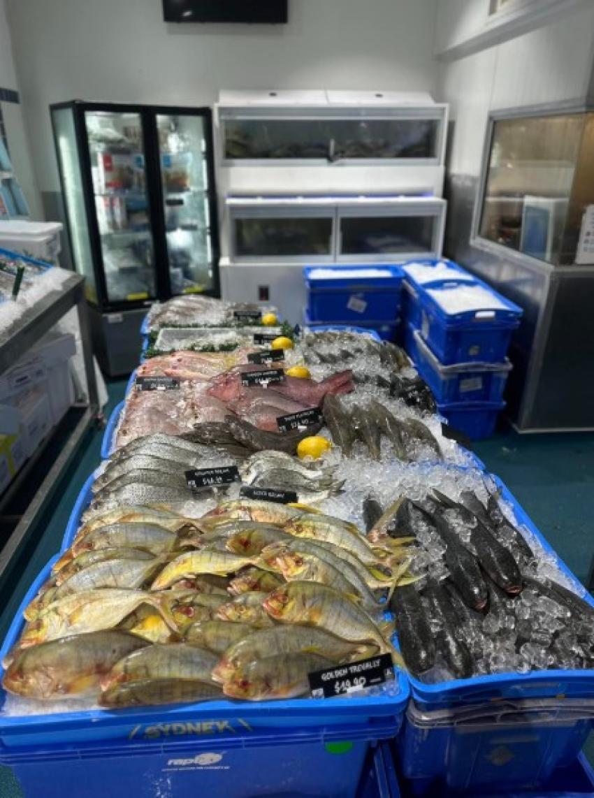 Tiger, King, or Banana Prawns? How to Choose the Best Prawns Online