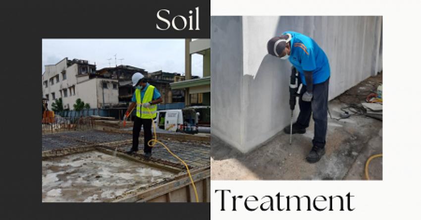 Protect Your Home with Expert Anti Termite Treatment Services