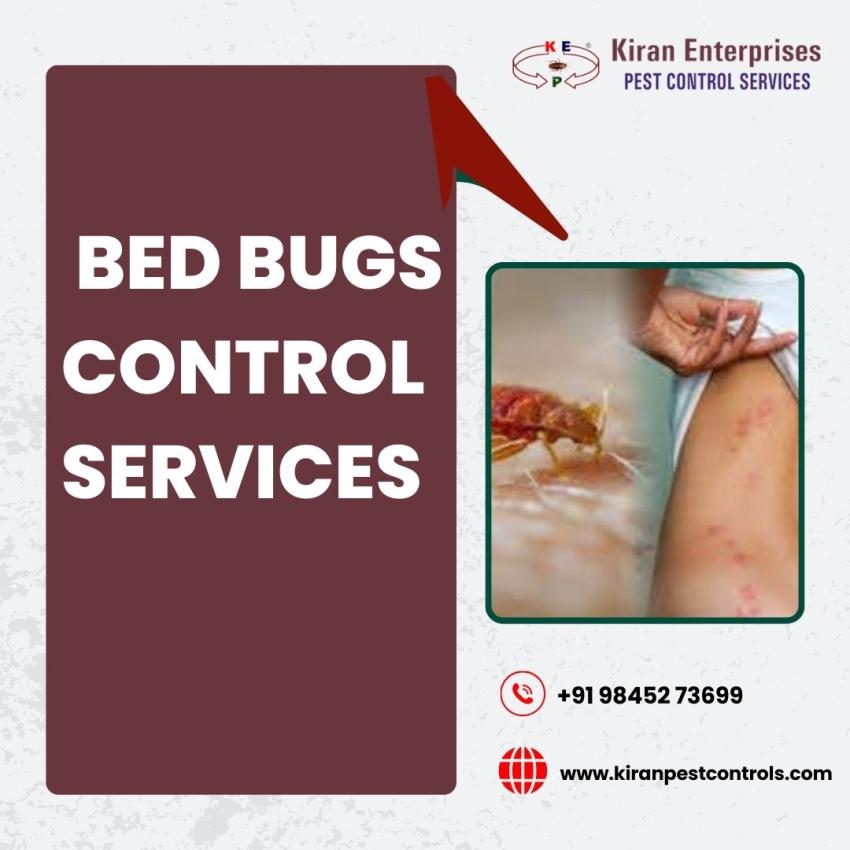 Bed Bugs Control Services in Bangalore | Guaranteed Results