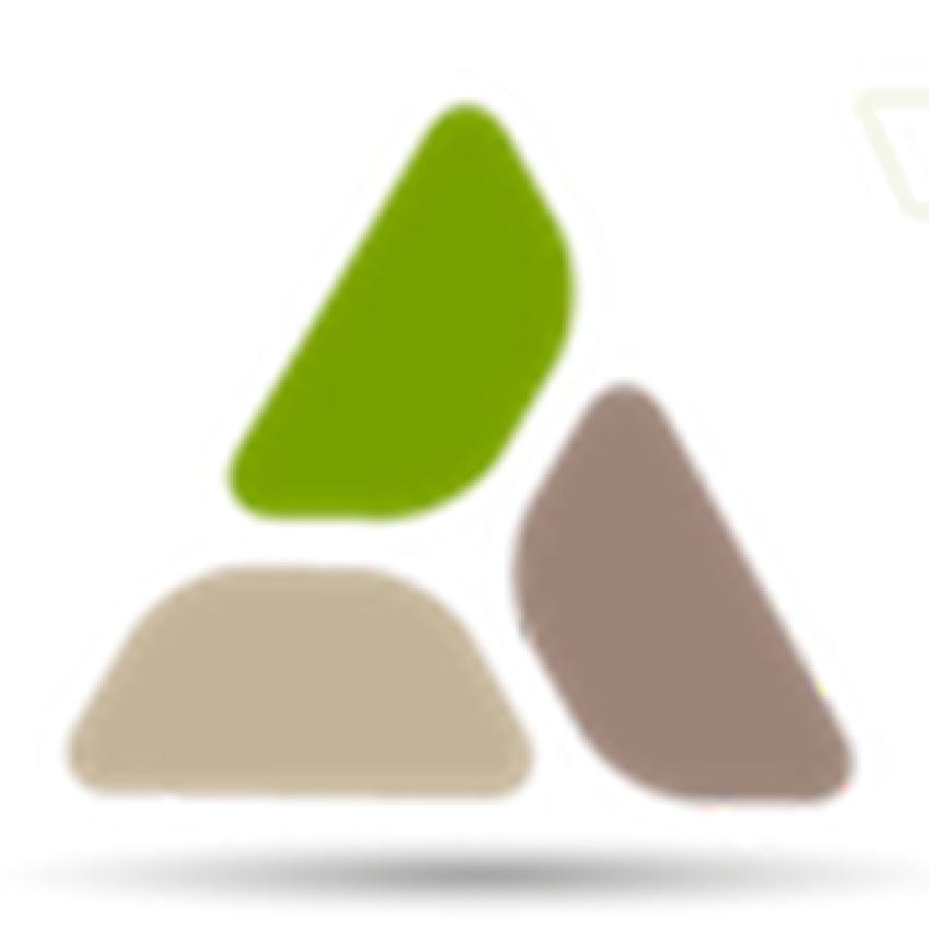 Triad Web Design Service Celebrates 15 Years of Custom Web Solutions for Greensboro Small Businesses