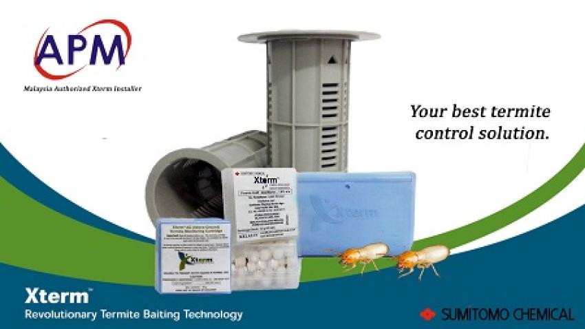 The Importance of Timely Termite Control for Your Property