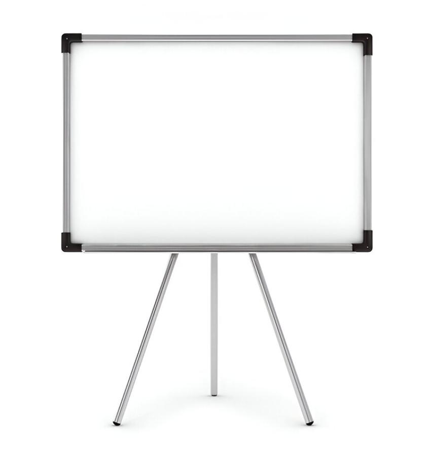 Top 5 Features to Look for in a Whiteboard Easel