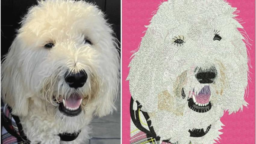 Key Factors to Consider When Digitizing Embroidery for Complex Designs