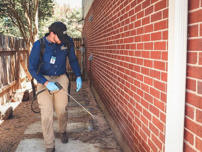 Spring Surge in Wasps and Mosquitoes Prompts Action from Alta Pest Control in Austin, TX