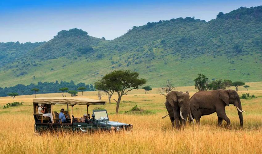 A Budget Traveler’s Guide to Kenya