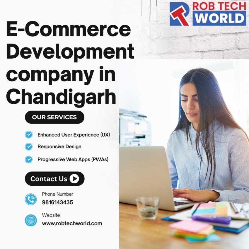 Top Services by E-Commerce Development Company in Chandigarh