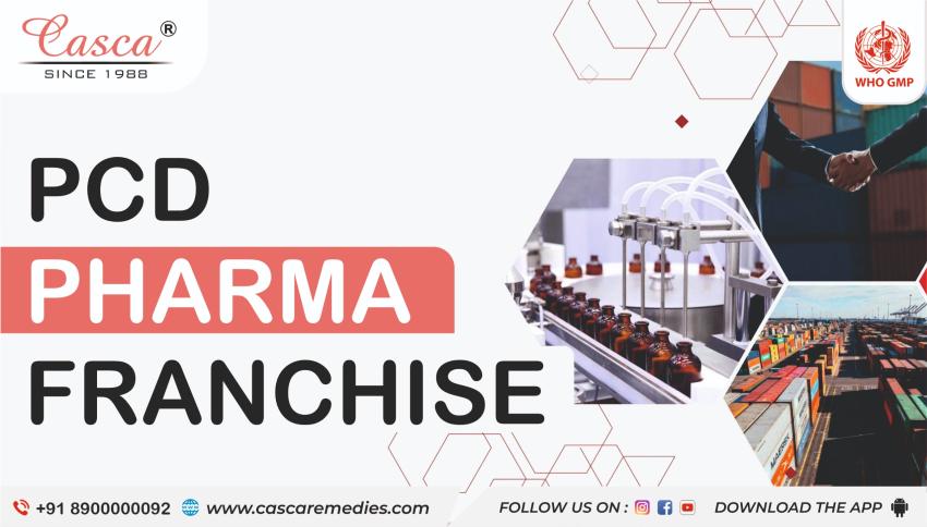 Why Is PCD Pharma Franchise Business A Grand Opportunity?