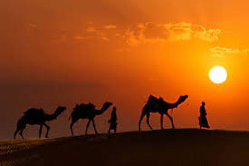 Discover Magical Rajasthan for an intellectual and Tradition Tour