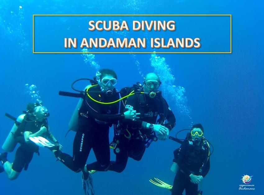 Why Scuba Diving in Andaman is Perfect for Beginners
