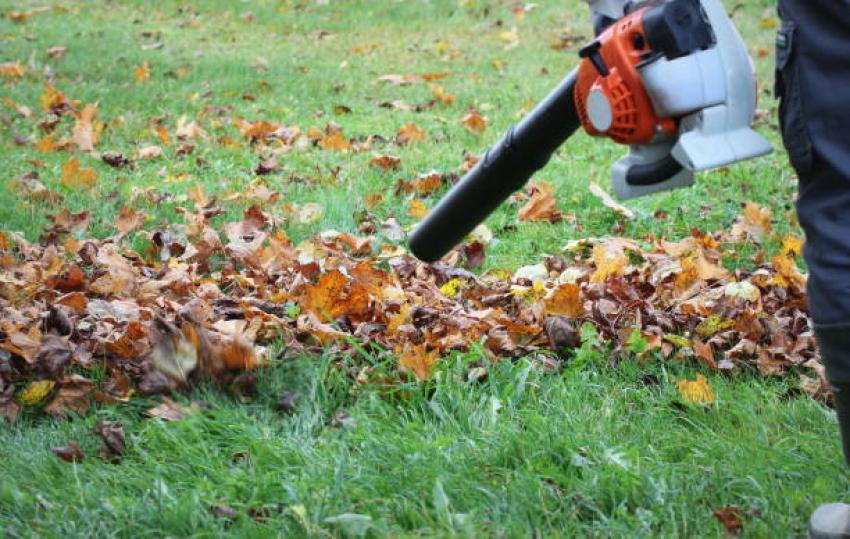 Can A Lawn Care Service Fix Bare Patches And Uneven Growth?