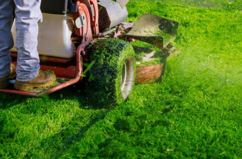 Lawn Care Service Support for Organic Lawn Management