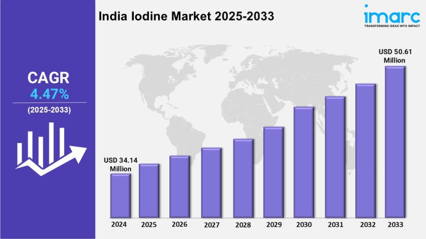India Iodine Market Size, Share, Growth and Outlook 2025-2033