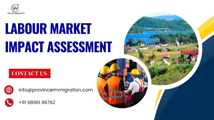 Labour Market Impact Assessment 2025