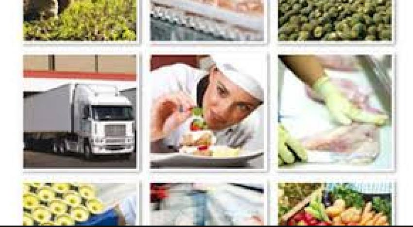 The best and amazing catering food distributor Bahrain