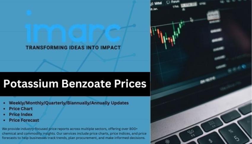 Track Potassium Benzoate Price Forecast – Latest Pricing Trends