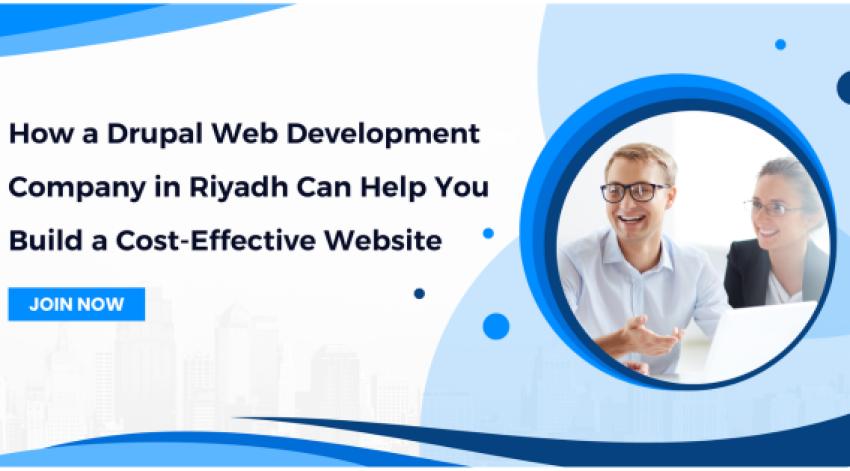 How a Drupal Web Development Company in Riyadh Can Help You Build a Cost-Effective Website
