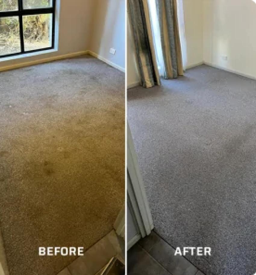 Carpet Cleaning Adelaide Hills: Your Guide to a Fresher Home