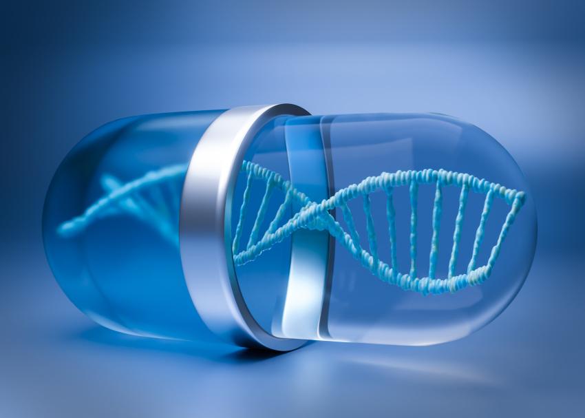 Epinephrine Prices – Price Chart, Index & Forecast | IMARC Group