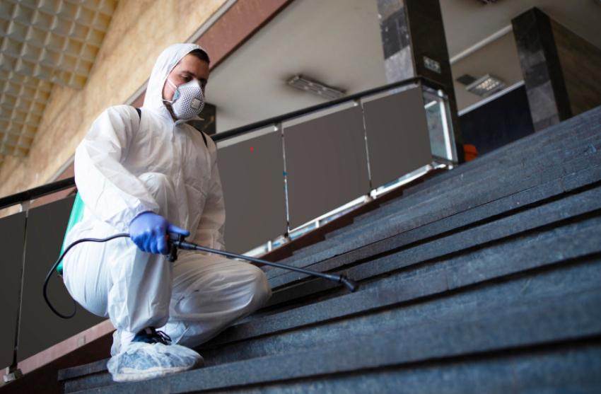 How Miami's Humid Climate Amplifies the Demand for Mold Inspection