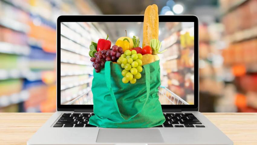 Japan Online Grocery Market Size, Growth Opportunities, and Future Outlook 2025-2033