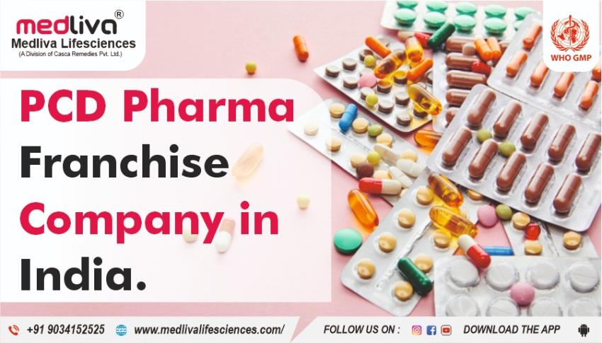 PCD Pharma Franchise -A Bridge Between Pharmaceutical Companies & Healthcare Sector