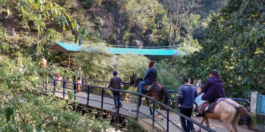 Legends of Bhasmasur and Their Connection to Shivkhori