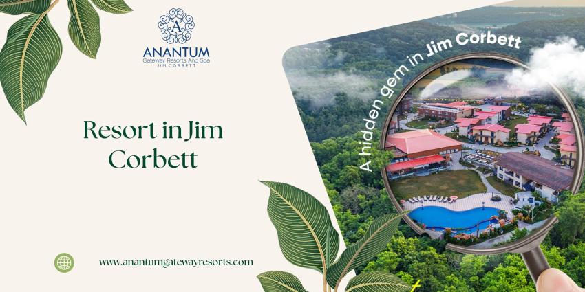 Things to Consider When Planning a Trip to Jim Corbett