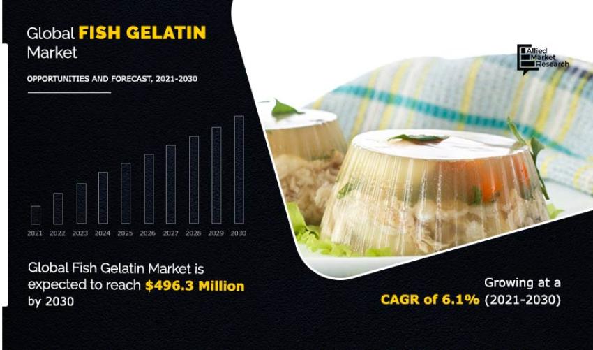 Fish Gelatin Market is Booming Across the Globe and Witness Huge Growth by Key Players