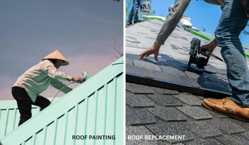 Roof Painting vs. Roof Replacement: Which Option Saves You More?