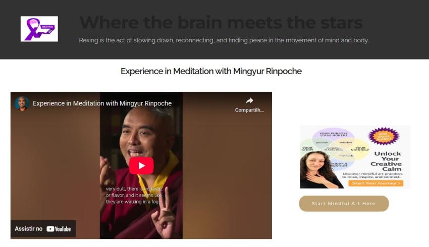 RexingEUA (formerly RexingUSA)