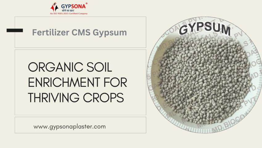 Organic Soil Enrichment for Thriving Crops
