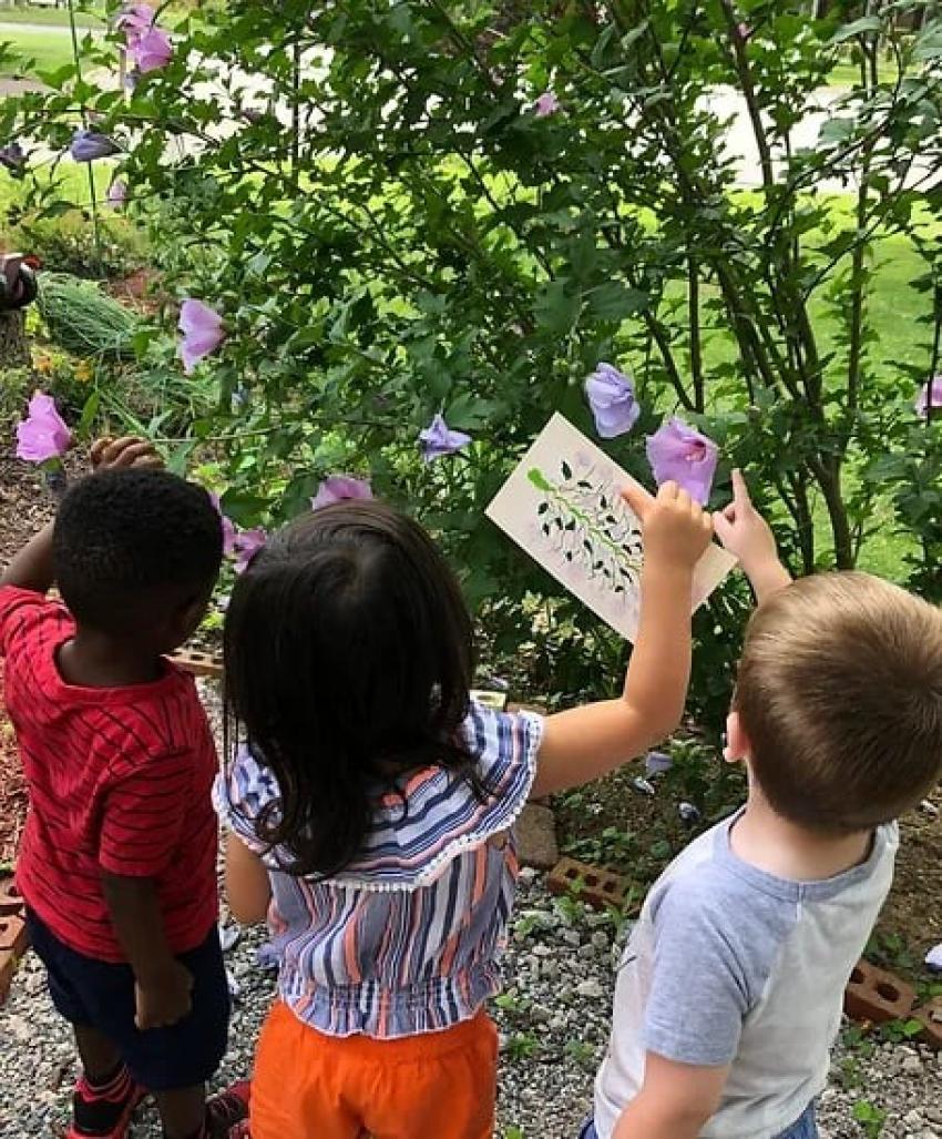 How Do Teachers at Preschools and Child Care Centers Encourage Curiosity?