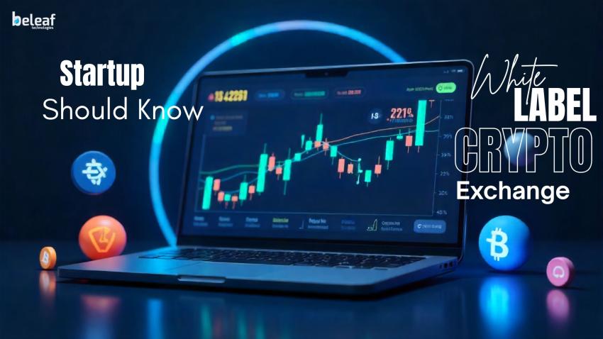 My Experience with White Label Exchange Deployment — What Every Startup Should Know