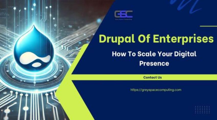 Drupal for Enterprises: How to Scale Your Digital Presence