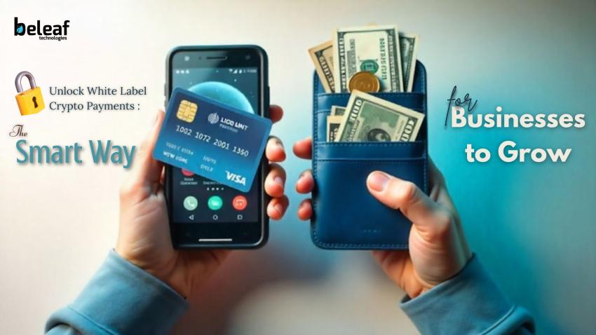 What’s Stopping Businesses from Accepting Crypto Payments and Can White Label Gateways Help?