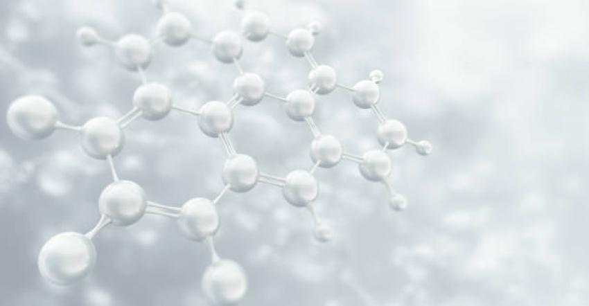 Clean Labels and Clinical Demand in the Amino Acids Market