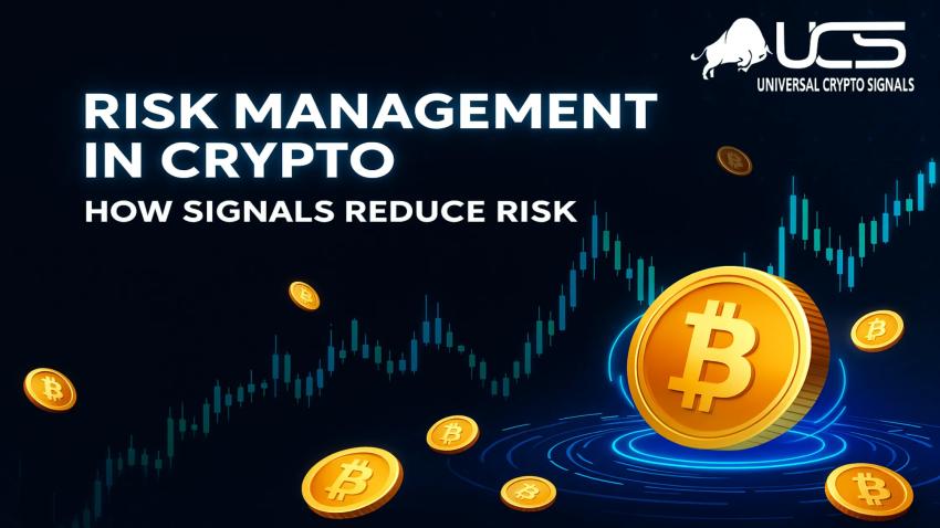 Risk Management in Crypto How Signals Reduce Risk