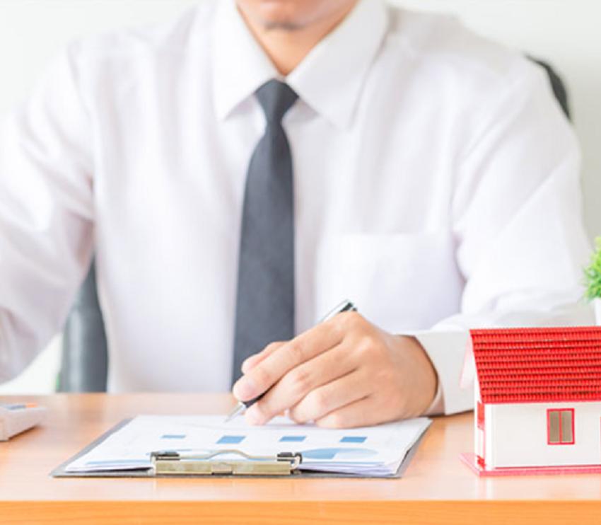 How Do Auction Terms and Conditions Affect Bidders?