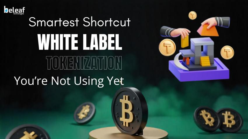 The Smartest Shortcut You’re Not Using Yet — White Label Tokenization