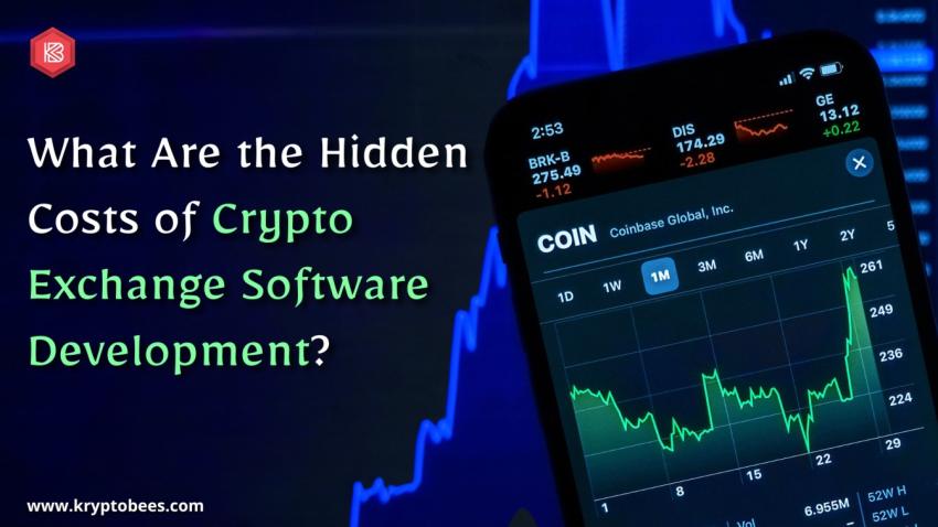 What Are the Hidden Costs of Crypto Exchange Software Development?