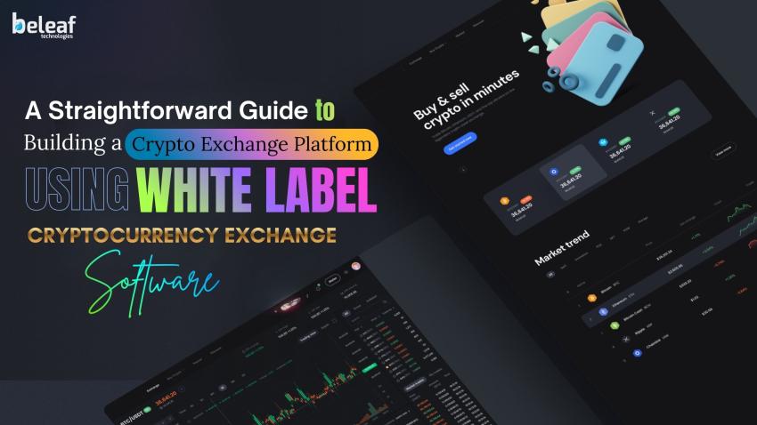 A Straightforward Guide to Building a Crypto Exchange Using White Label Software