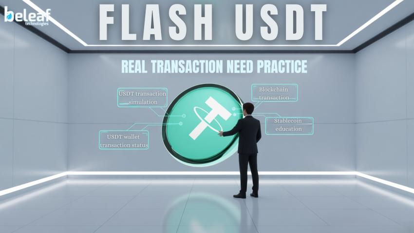 Why Crypto Beginners Need Practice Before Real Transactions using Flash USDT