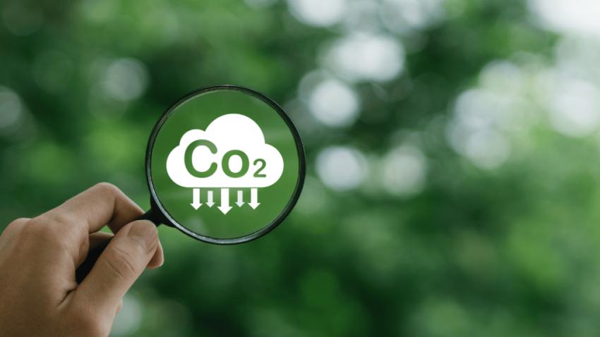 Why Carbon Tracking Tools Alone Aren’t Enough Without Expert Consultants