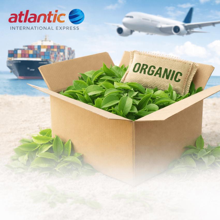 International Shipping of Kalyan Organic Tea Leaves by Atlantic Express