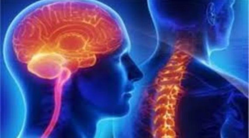 India’s Top Neurosurgeon: Internationally Recognized for Neurosurgery and Spine Care