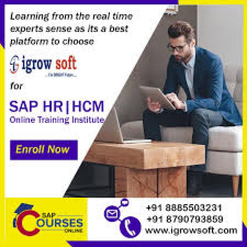 What is a Feature in SAP HR (HCM)?