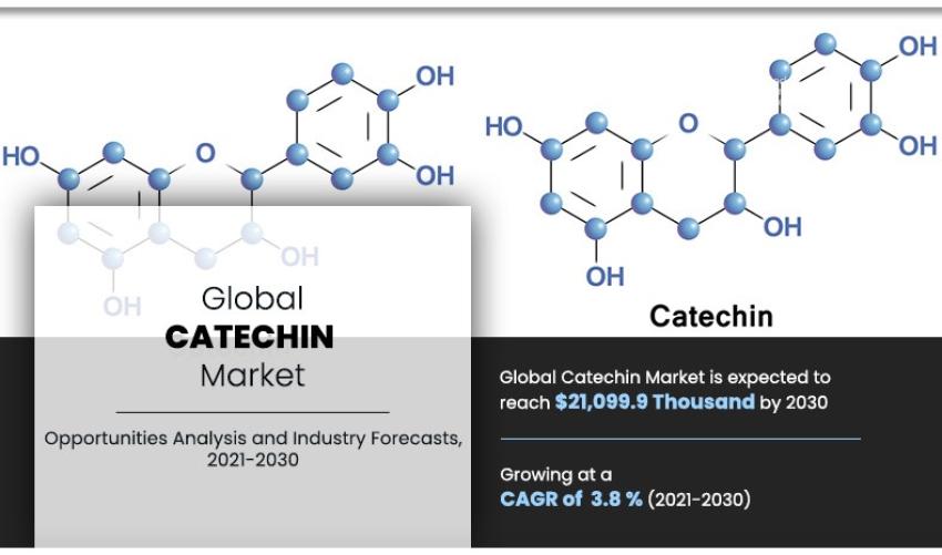 Catechin Market Top Growth Companies, Global Growth, Size, Trends, Key Players by 2030