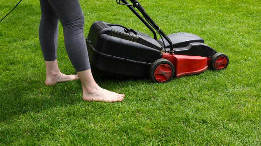 Difference Between Lawn Mowing & Complete Lawn Maintenance